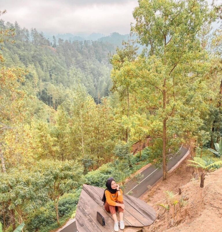 Wisata Gunung Sari Sunset5 768x802