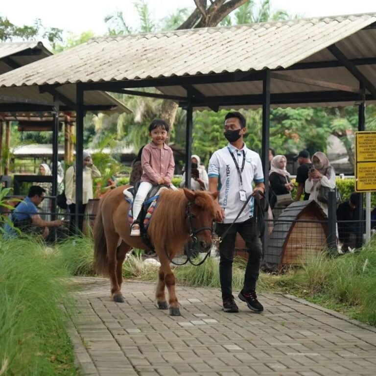 021556862023 768x768