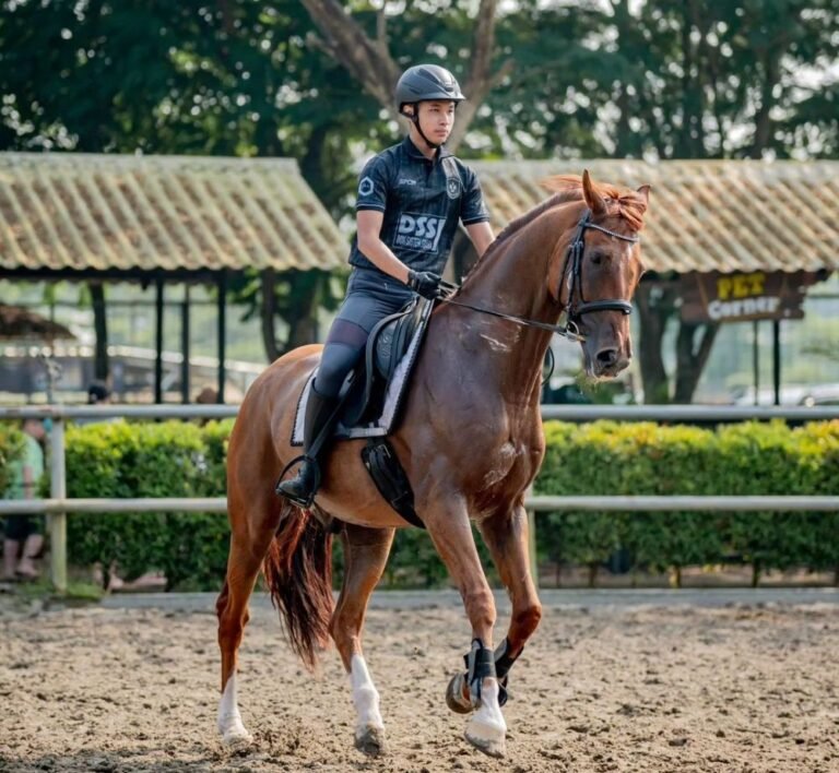 021556862024 768x708