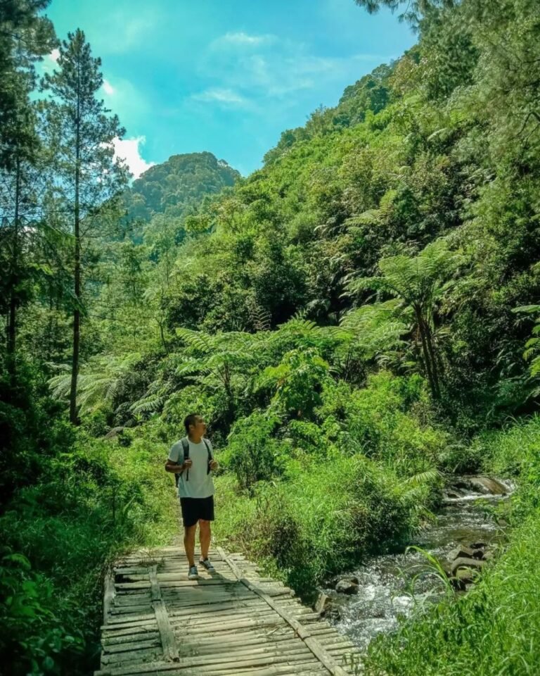 Air Terjun Seloresi Wonogiri2 768x960