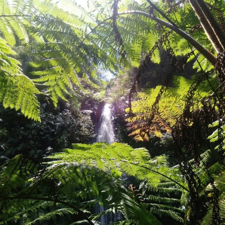 Air Terjun Seloresi Wonogiri5 768x768