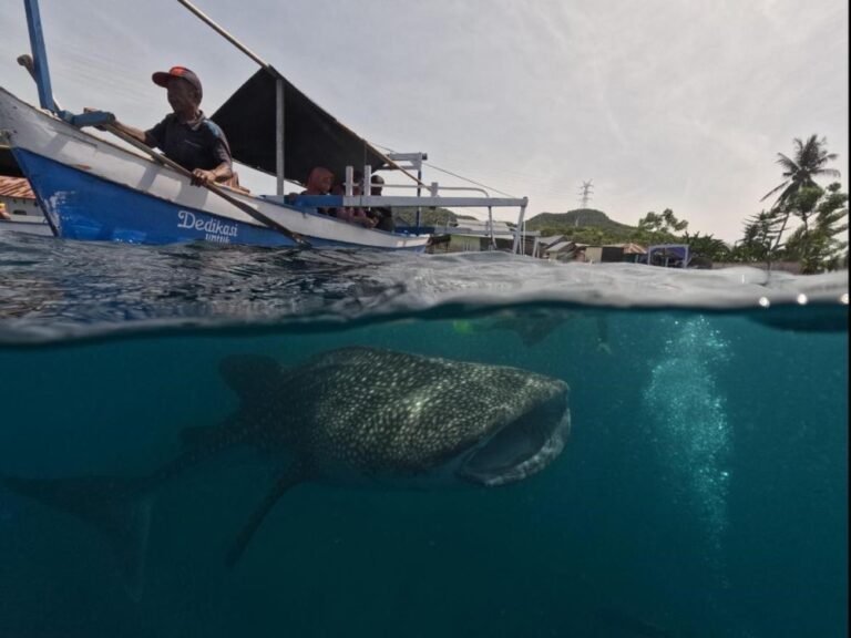 Botubarani Gorontalo5 768x576