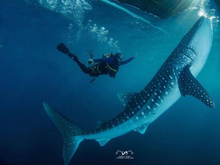 Botubarani Gorontalo6 768x578