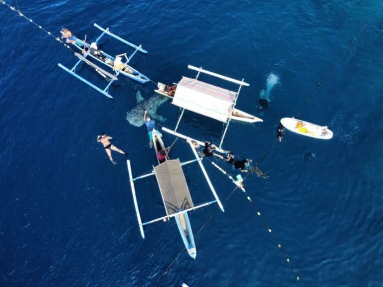 Botubarani Gorontalo8 768x576