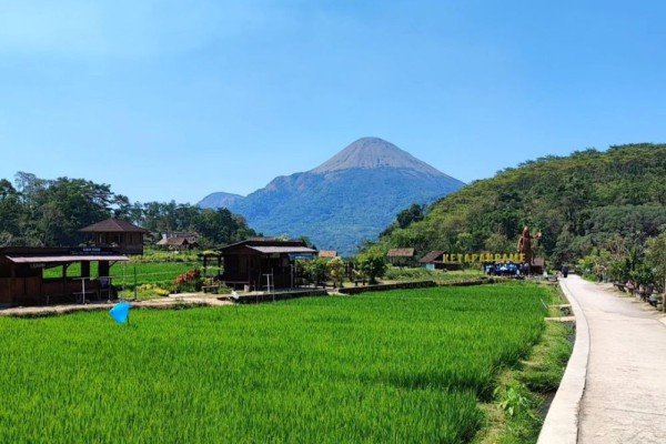 Desa Wisata Ketapanrame1