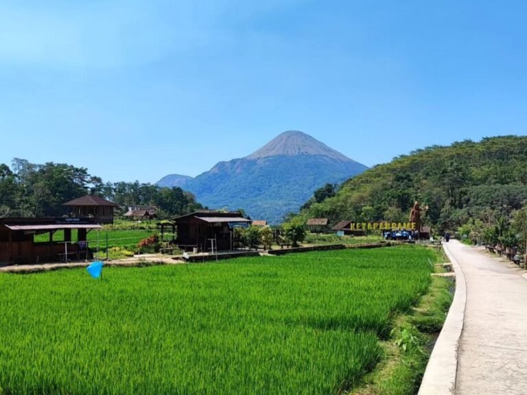 Desa Wisata Ketapanrame5 768x576