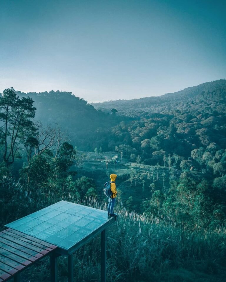 Kamodjan Fillage Garut4 768x960