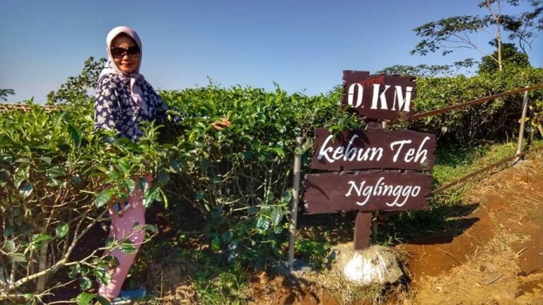 Kebun Teh Nglinggo Kulon Progo2 768x432