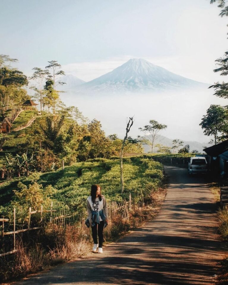 Kebun Teh Nglinggo Kulon Progo3 768x959