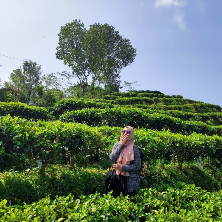 Kebun Teh Nglinggo Kulon Progo6 768x768