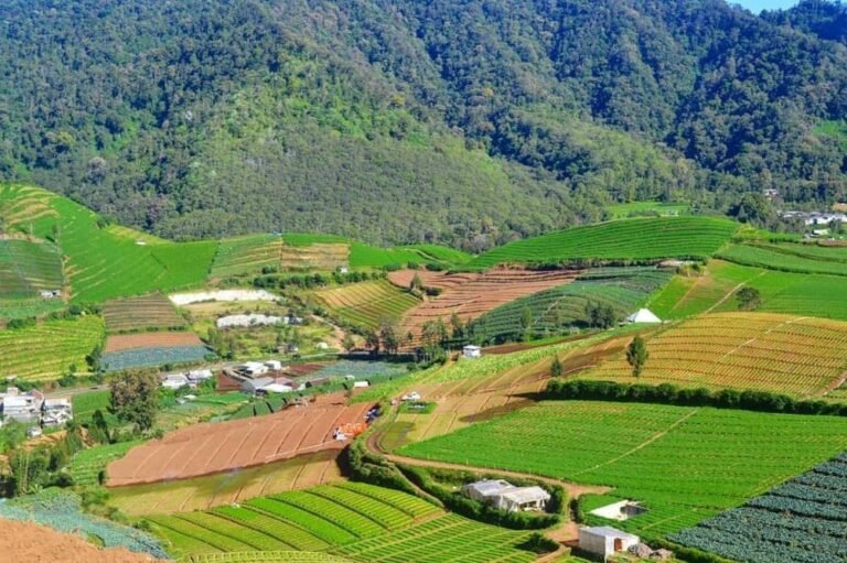 Wisata Alam Brakseng Batu3 768x511