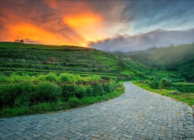 Wisata Alam Brakseng Batu4 768x557