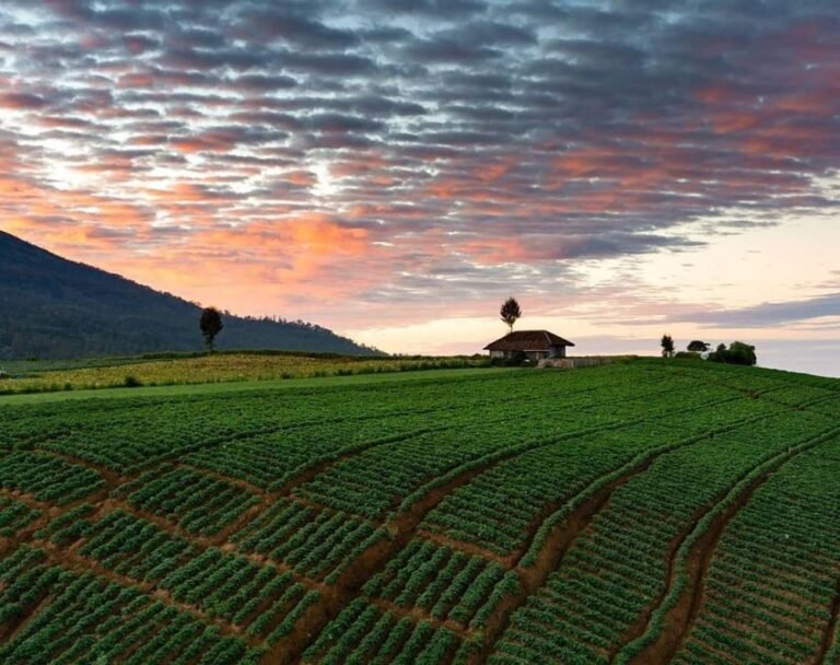 Wisata Alam Brakseng Batu6 768x608