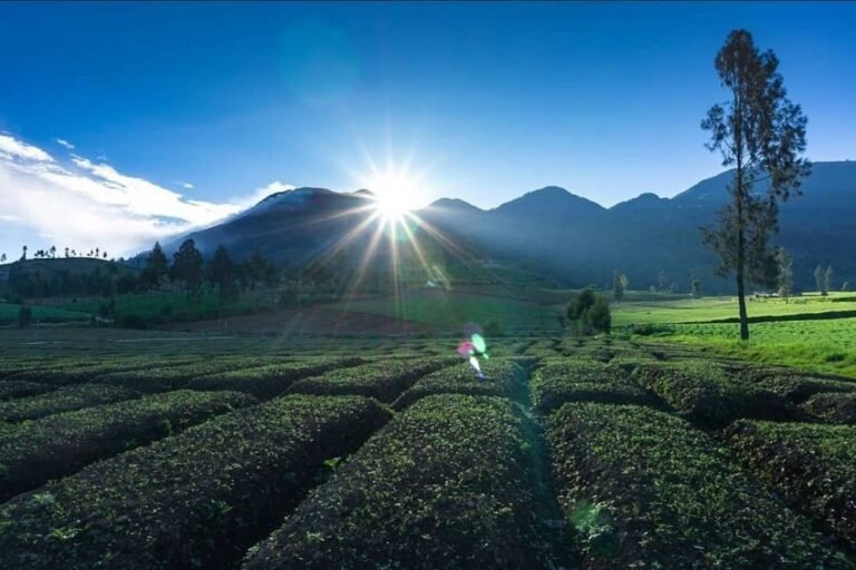 Wisata Alam Brakseng Batu7 768x512