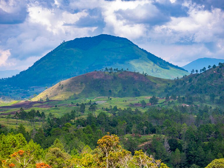 1 TONGGING 5 1 768x576