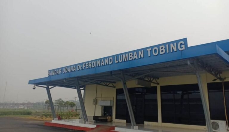 Bandar Udara Dr. Ferdinand Lumbantobing Pinangsori2 768x444