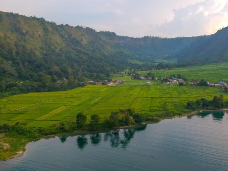 Desa Adat Ragi Hotang Meat2 768x578