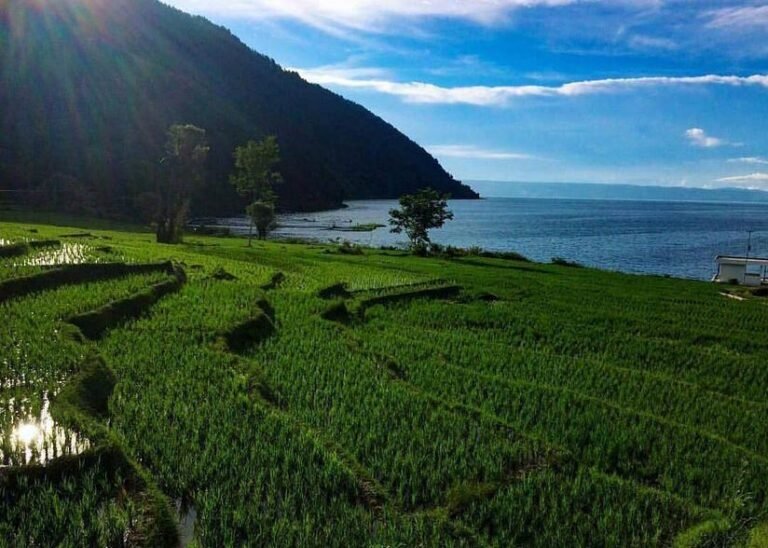 Desa Adat Ragi Hotang Meat4 768x548