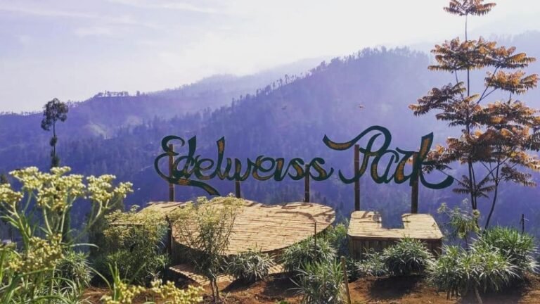 Desa Wisata Edelweiss Wonokitri6 768x432