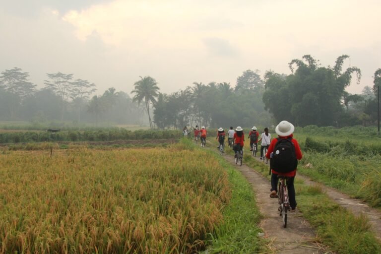 Desa Wisata Karangrejo6 768x512