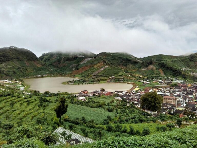 Desa Wisata Sembungan Wonosobo4 768x578