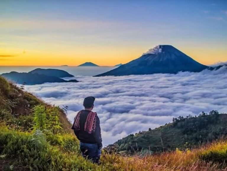 Desa Wisata Sembungan Wonosobo6 768x578