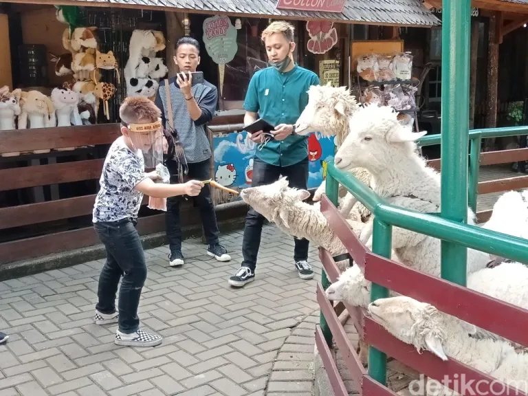 Farmhouse Susu Lembang8