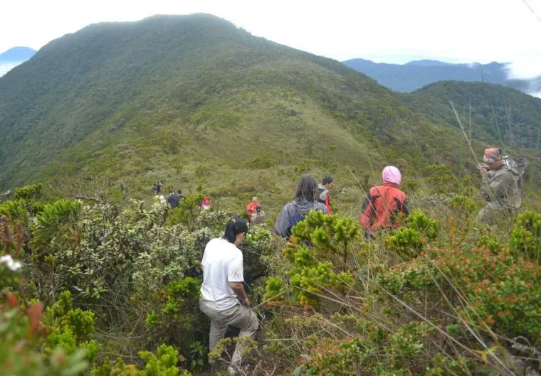 Gunung Sibuatan7
