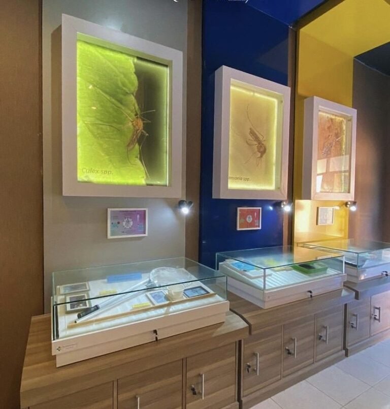 Museum Nyamuk5 768x805