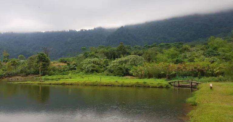 Pamah Semelir Langkat 5