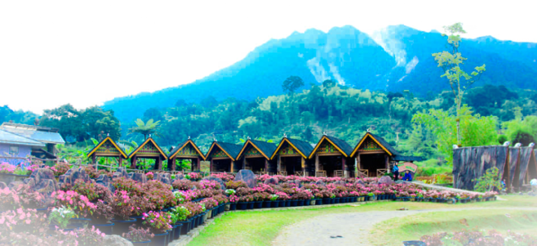 Pariban Hot Spring6 768x352