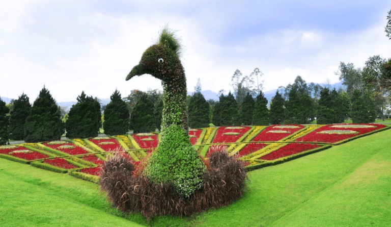 Taman Bunga Nusantara9 768x445