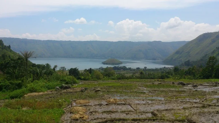 Tambak Singa 768x432