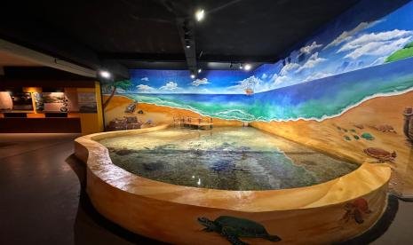 Wisata Aquarium Indonesia Pangandaran3