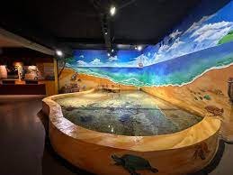 Wisata Aquarium Indonesia Pangandaran4