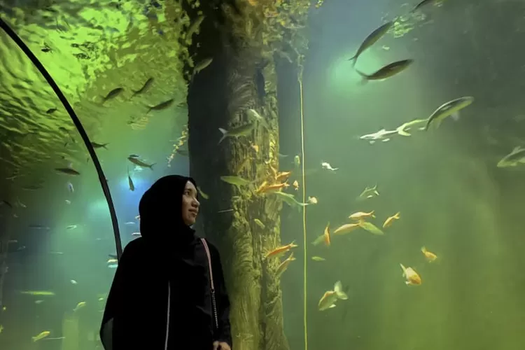 Wisata Aquarium Indonesia Pangandaran4