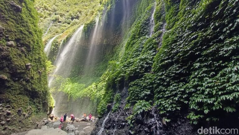 Air Terjun Madakaripura3 768x433