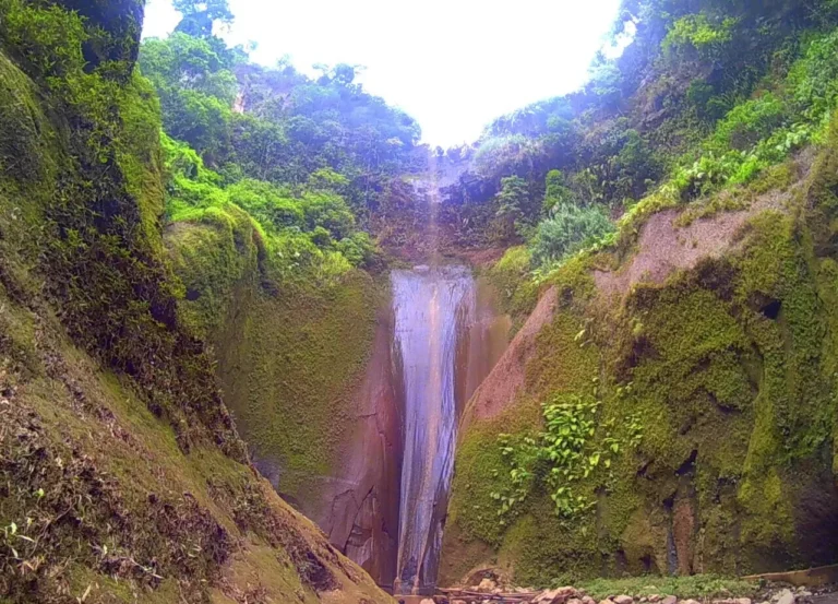 Air Terjun Umbulan1 768x553