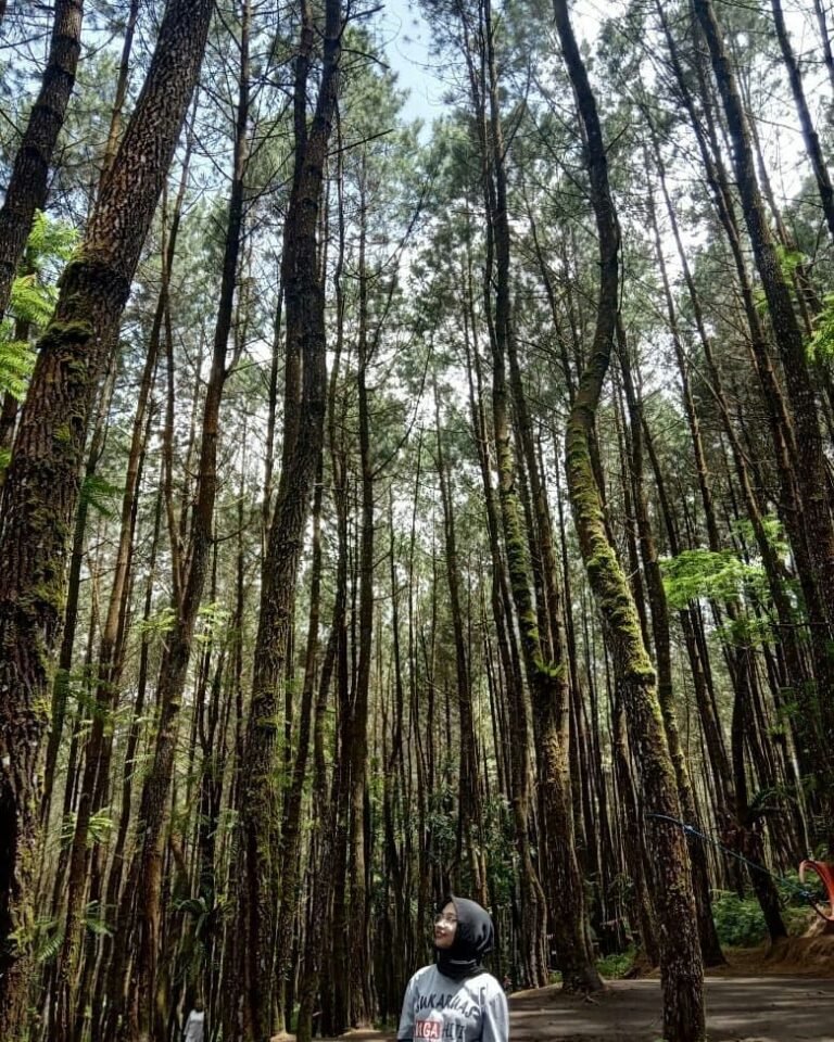 Curug Badak Batu Hanoman6 768x960