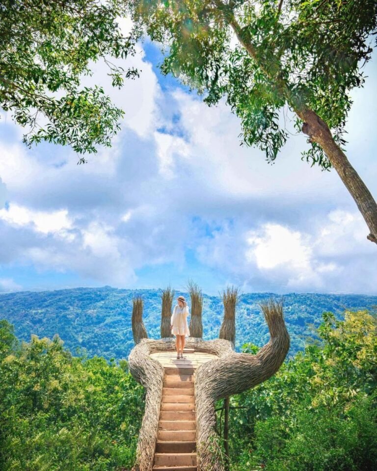 Hutan Pinus Pengger3 768x960