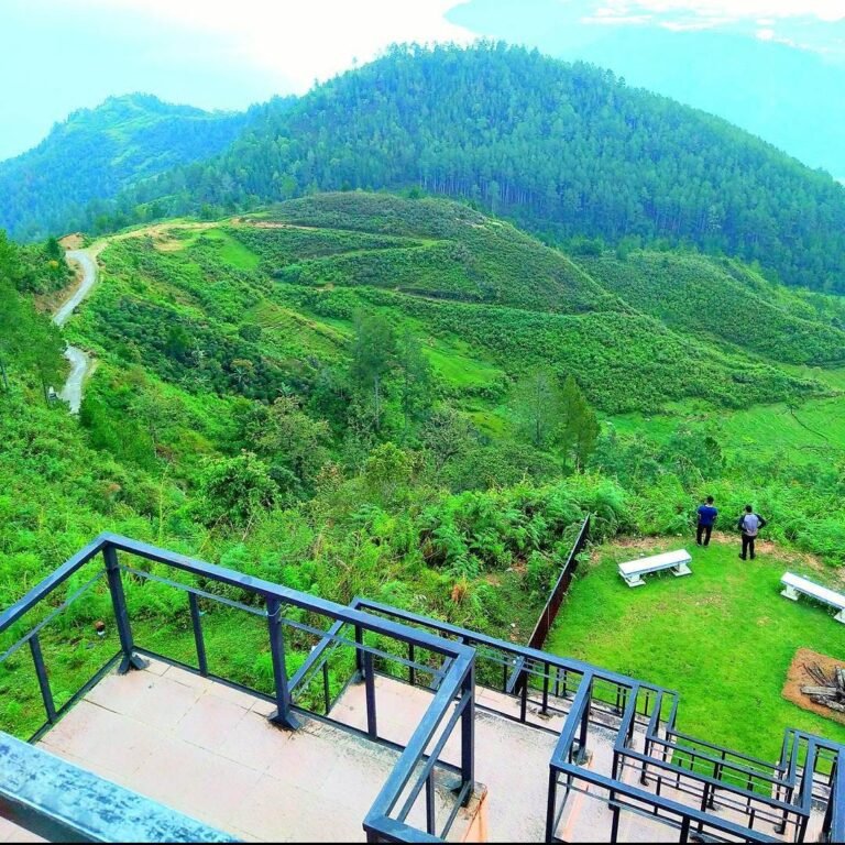 Panatapan Hutaginjang4 768x768