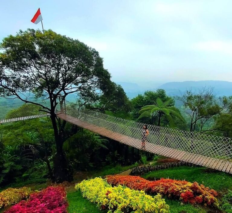 Wisata Bukit Halimun4 768x706