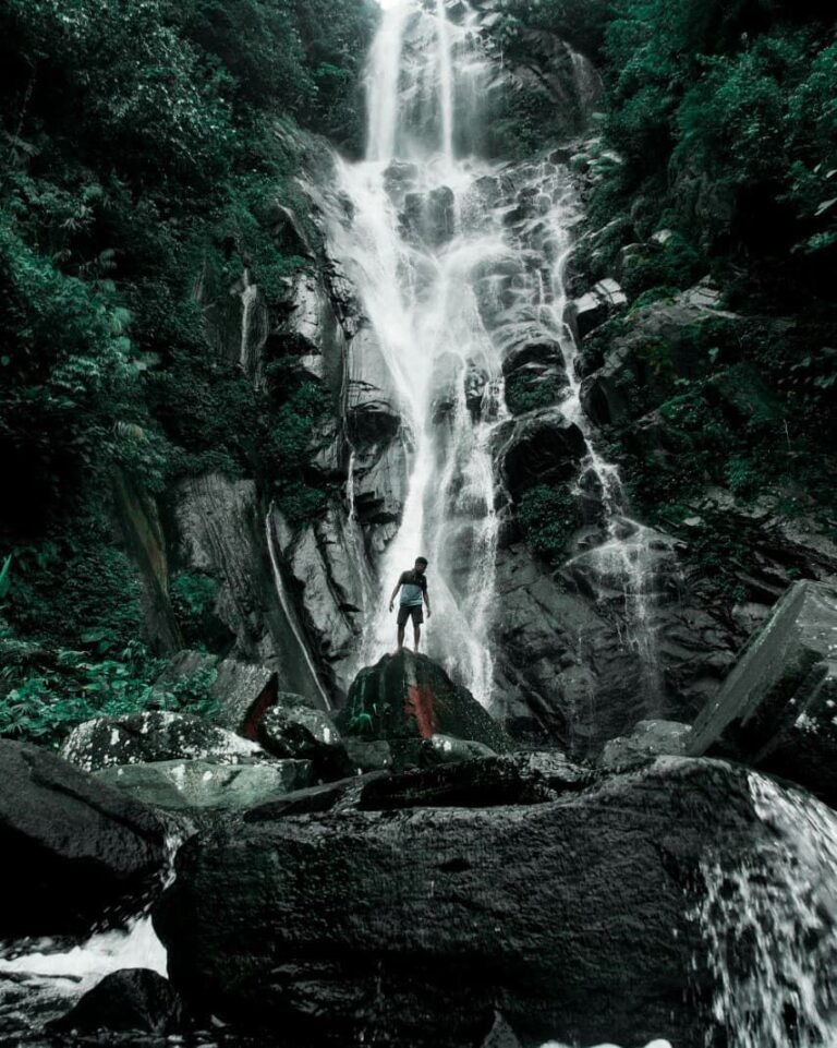 air terjun cyclop jayapura5 768x961