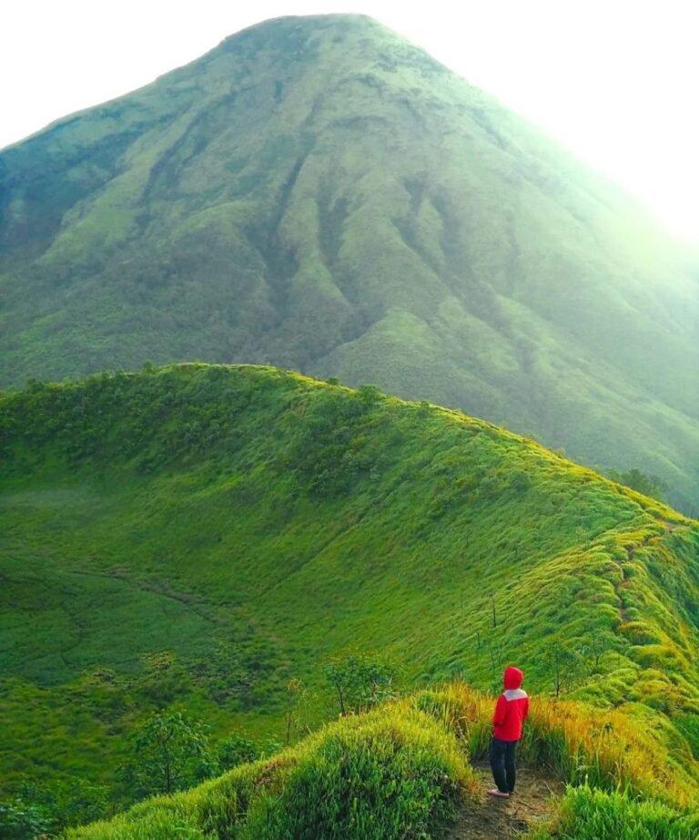 gunung kembang wonosobo2 768x922
