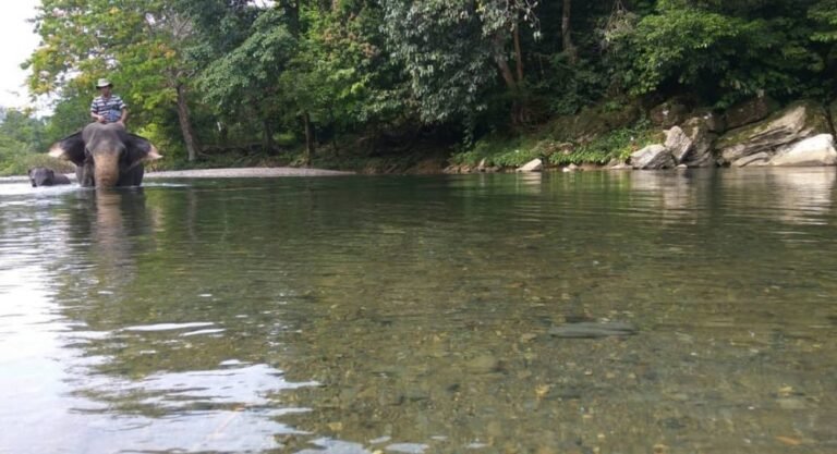 tangkahan cru3 768x417