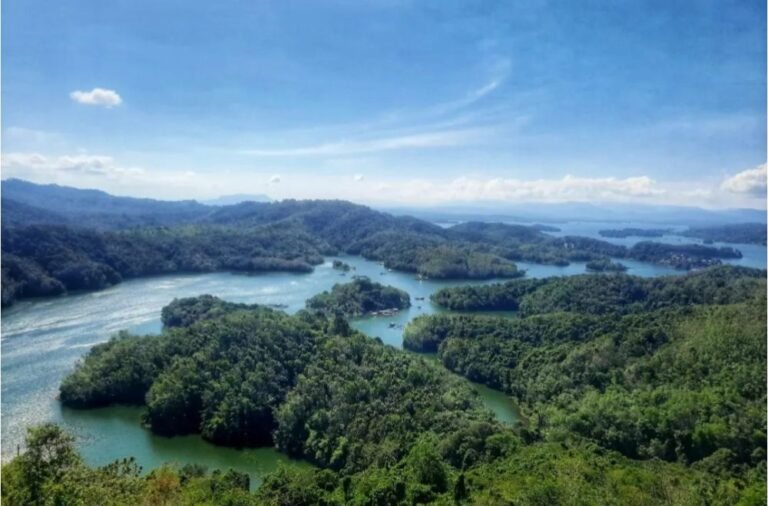 bukit matang kaladan2 768x506