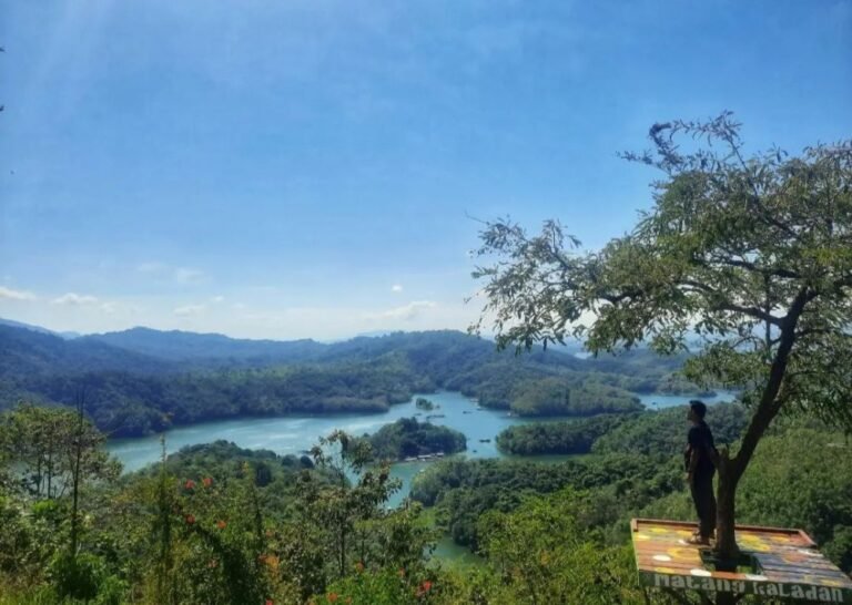 bukit matang kaladan5 768x546