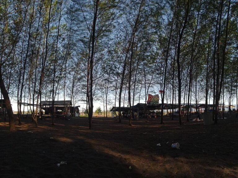 pantai cemara jember3 768x575