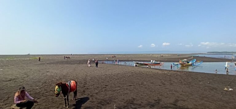 pantai cemara jember4 768x354