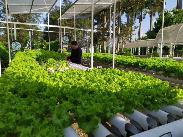 taman botani sukorambi jember2 768x576